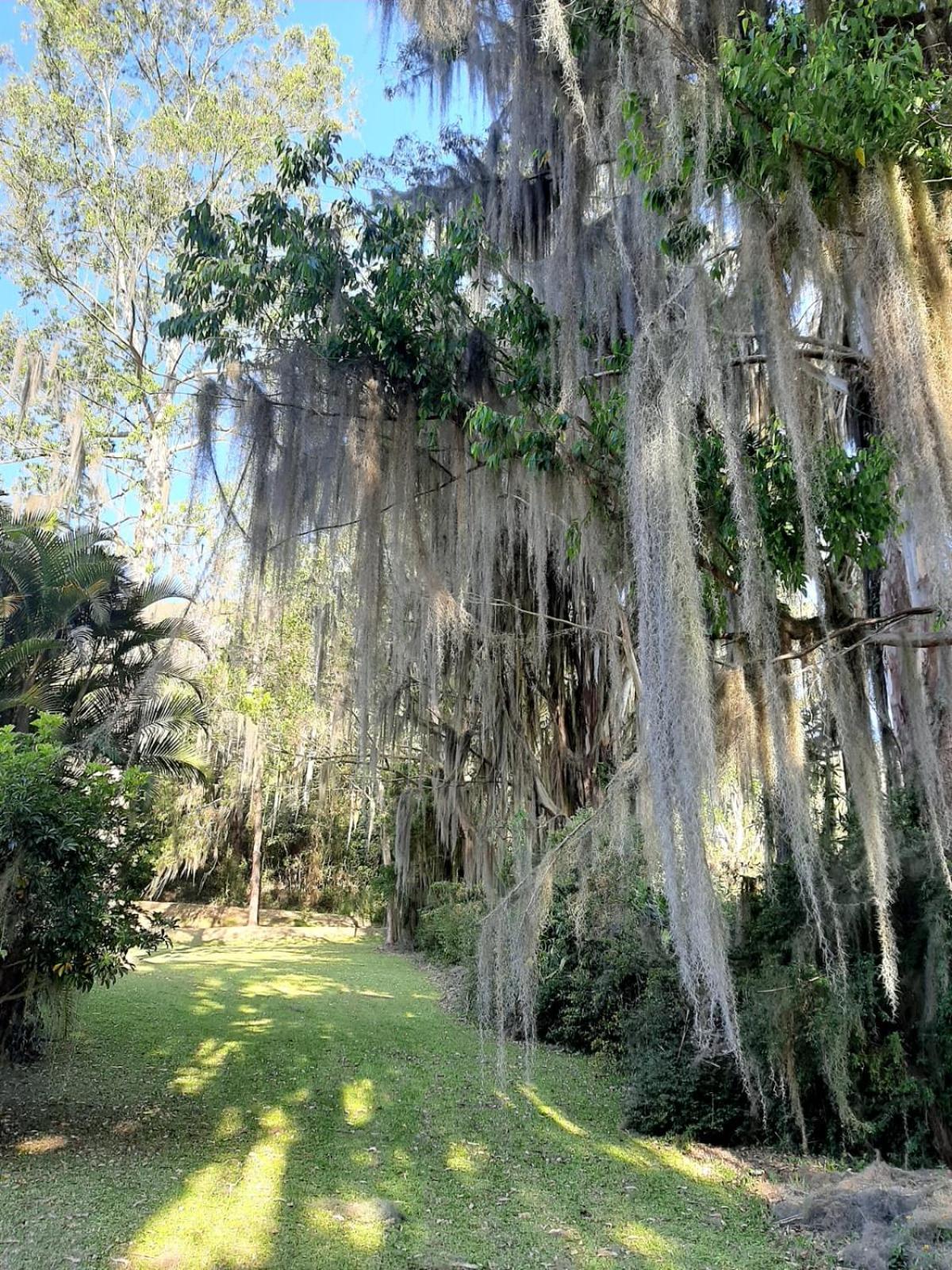 Sitio Riacho Das Pedras Teresópolis Esterno foto